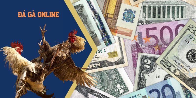 Đá gà 188BET - Sân chơi hấp dẫn top 1 cho thành viên